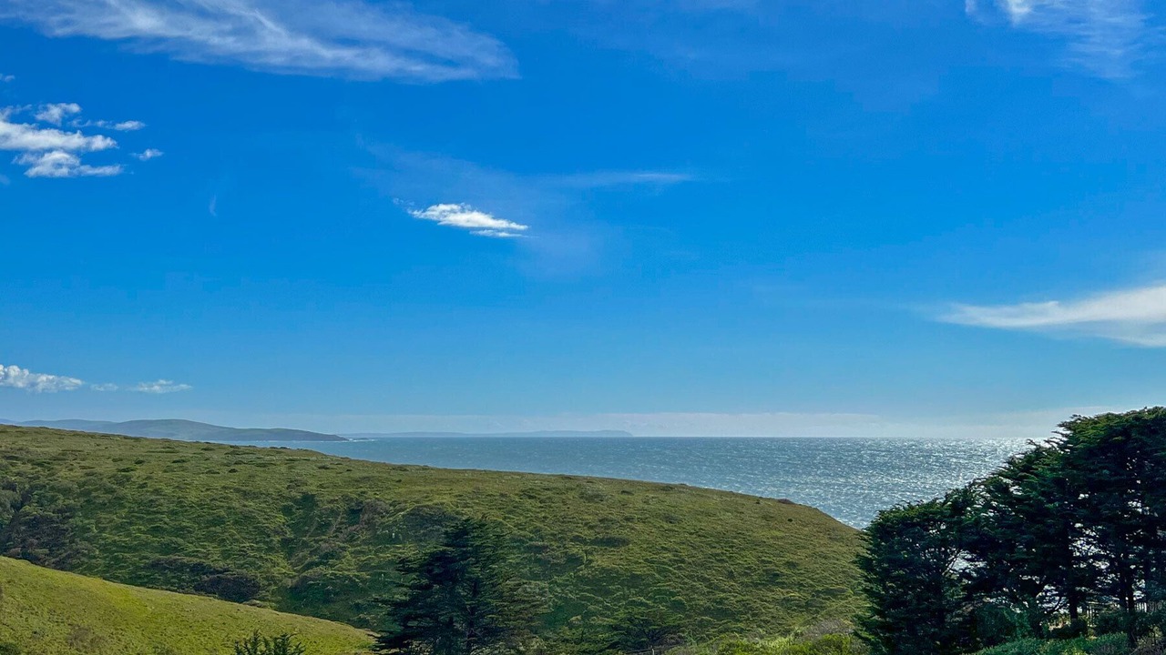 Photo of Outdoor in Bodega Bay