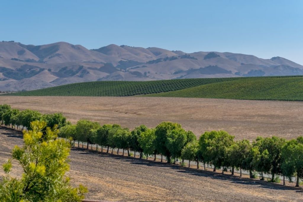 Photo of Others in San Luis Obispo