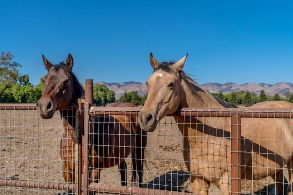 Photo of Outdoor in San Luis Obispo
