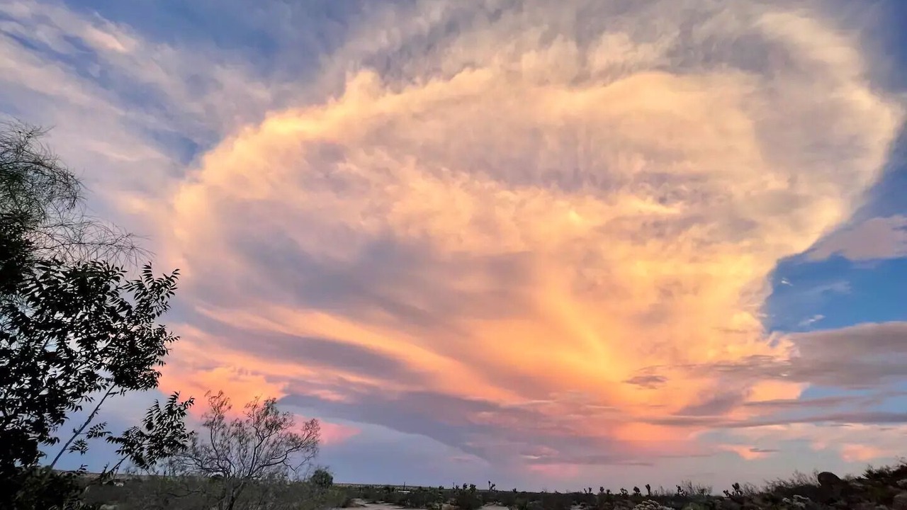 Photo of Outdoor in Yucca Valley