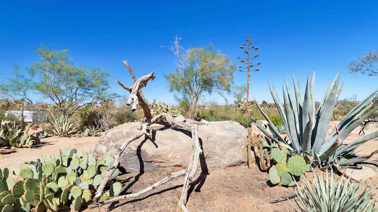 Photo of Outdoor in Yucca Valley