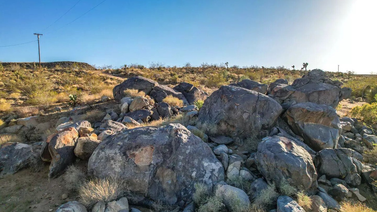 Photo of Others in Yucca Valley