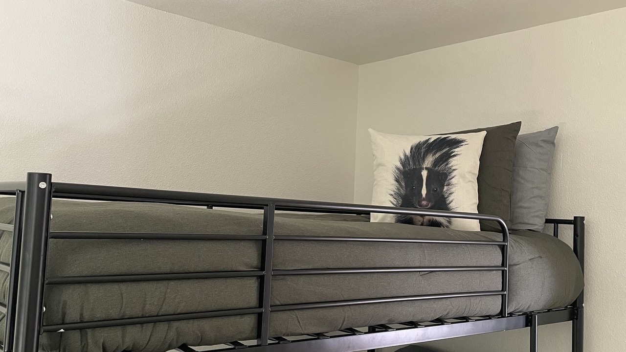 Photo of Bedroom in Shingletown