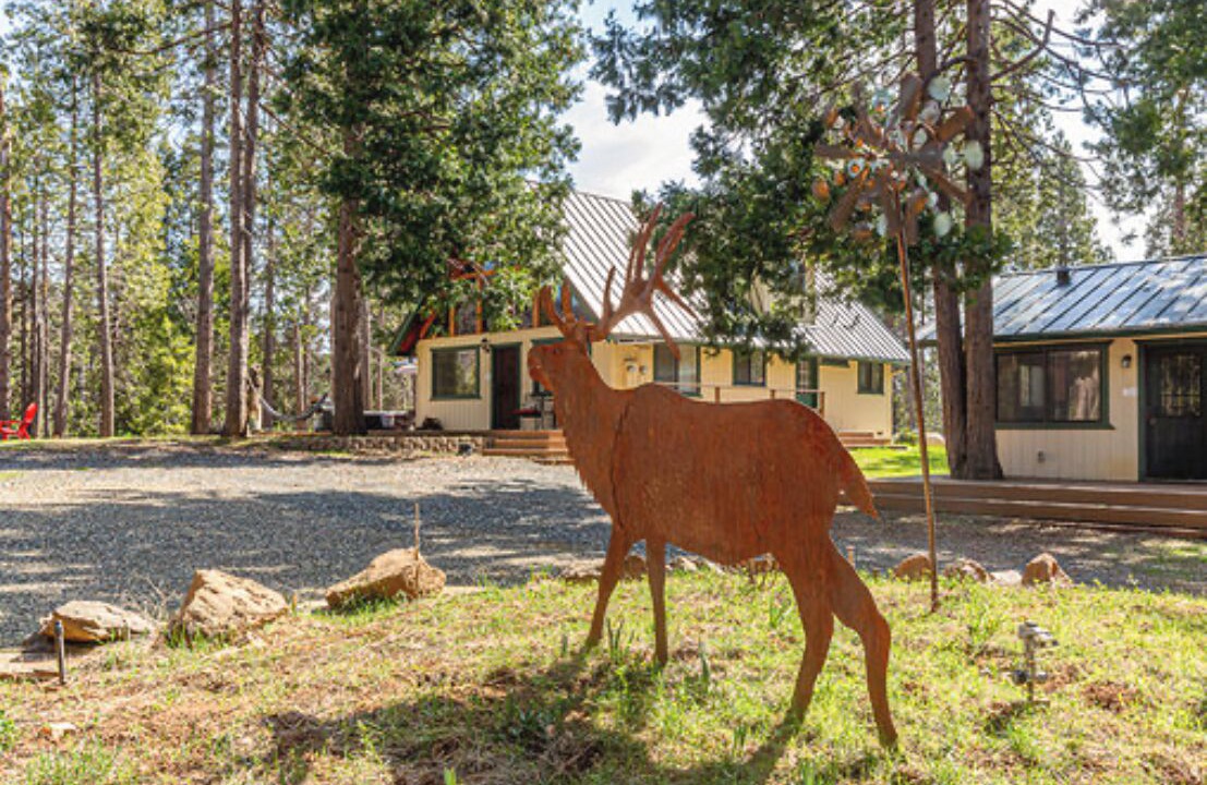Photo of Outdoor in Mariposa