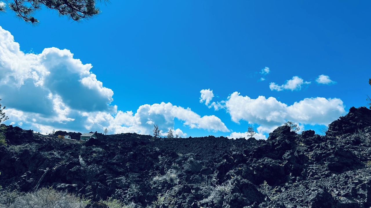 Photo of Others in Deschutes River Woods