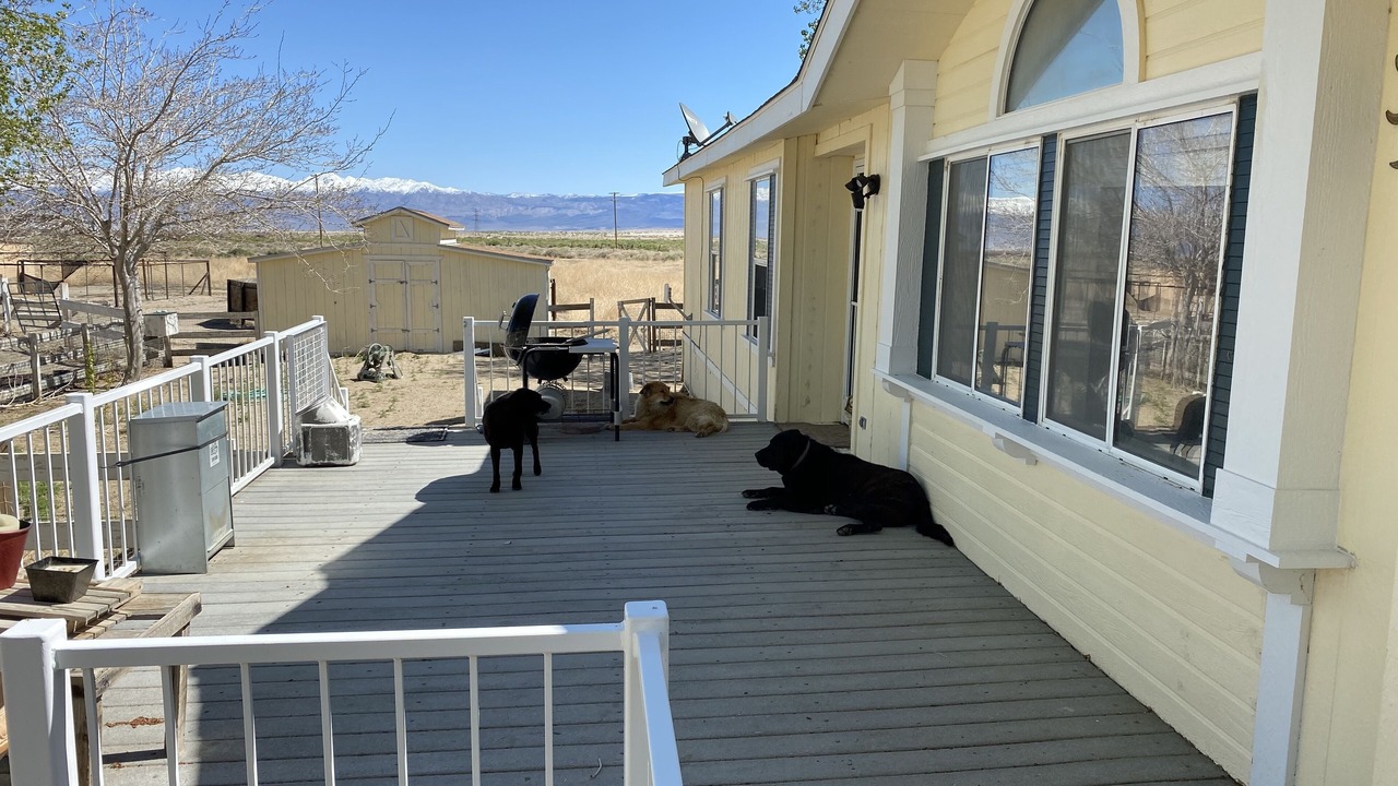 Photo of Outdoor in Olancha
