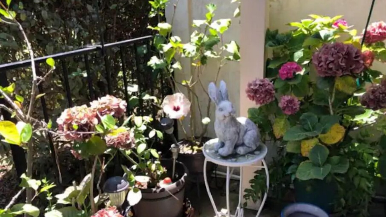 Photo of Outdoor in Carlsbad