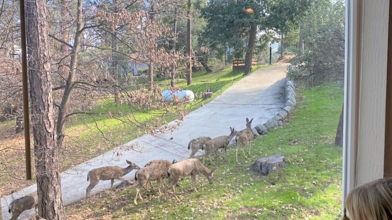 Photo of Others in Groveland