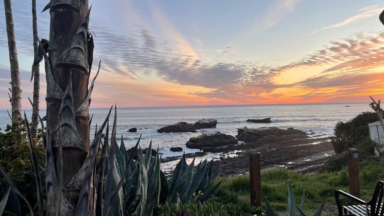 Photo of Others in Shell Beach