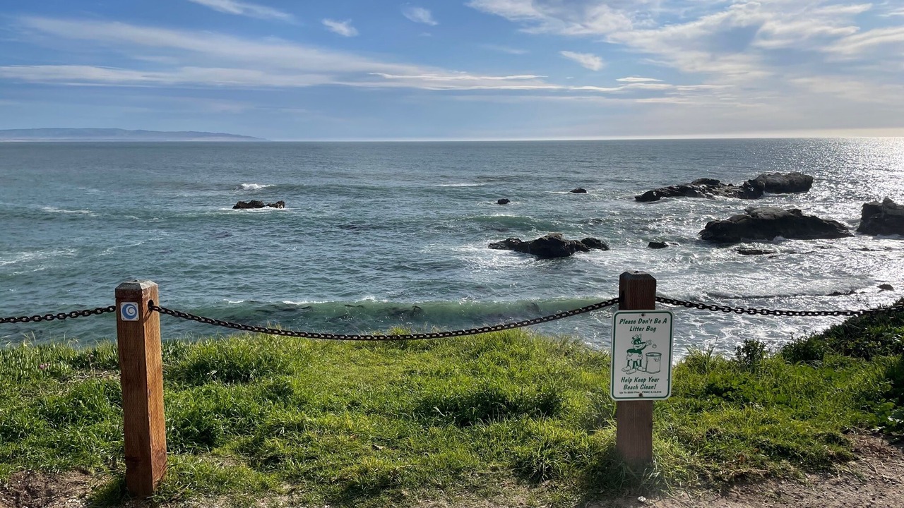 Photo of Outdoor in Shell Beach