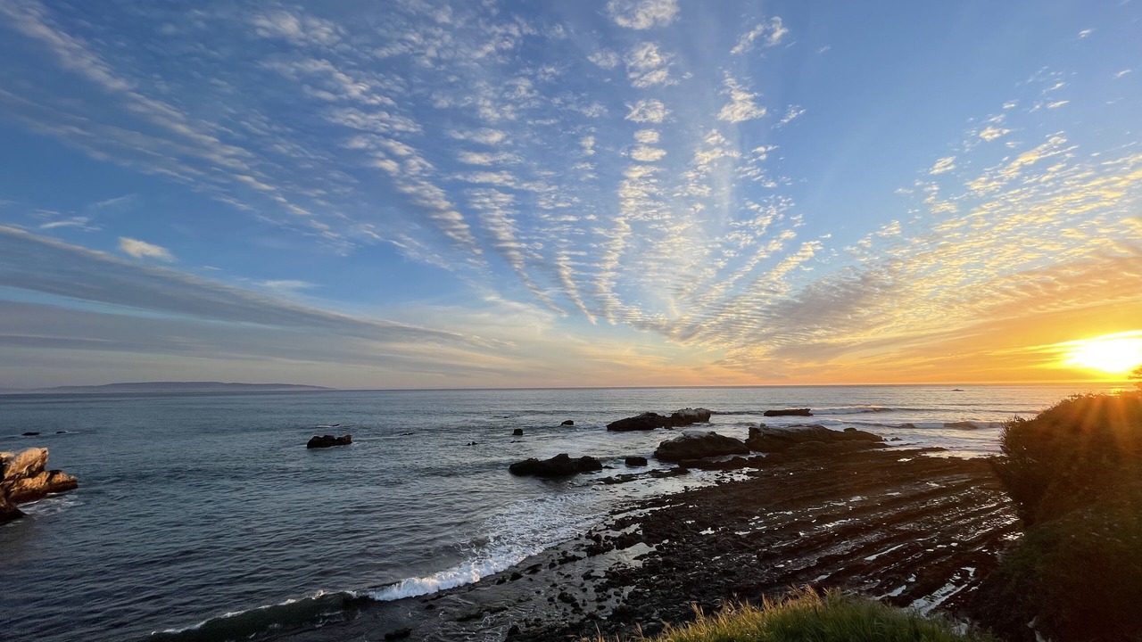Photo of Others in Shell Beach