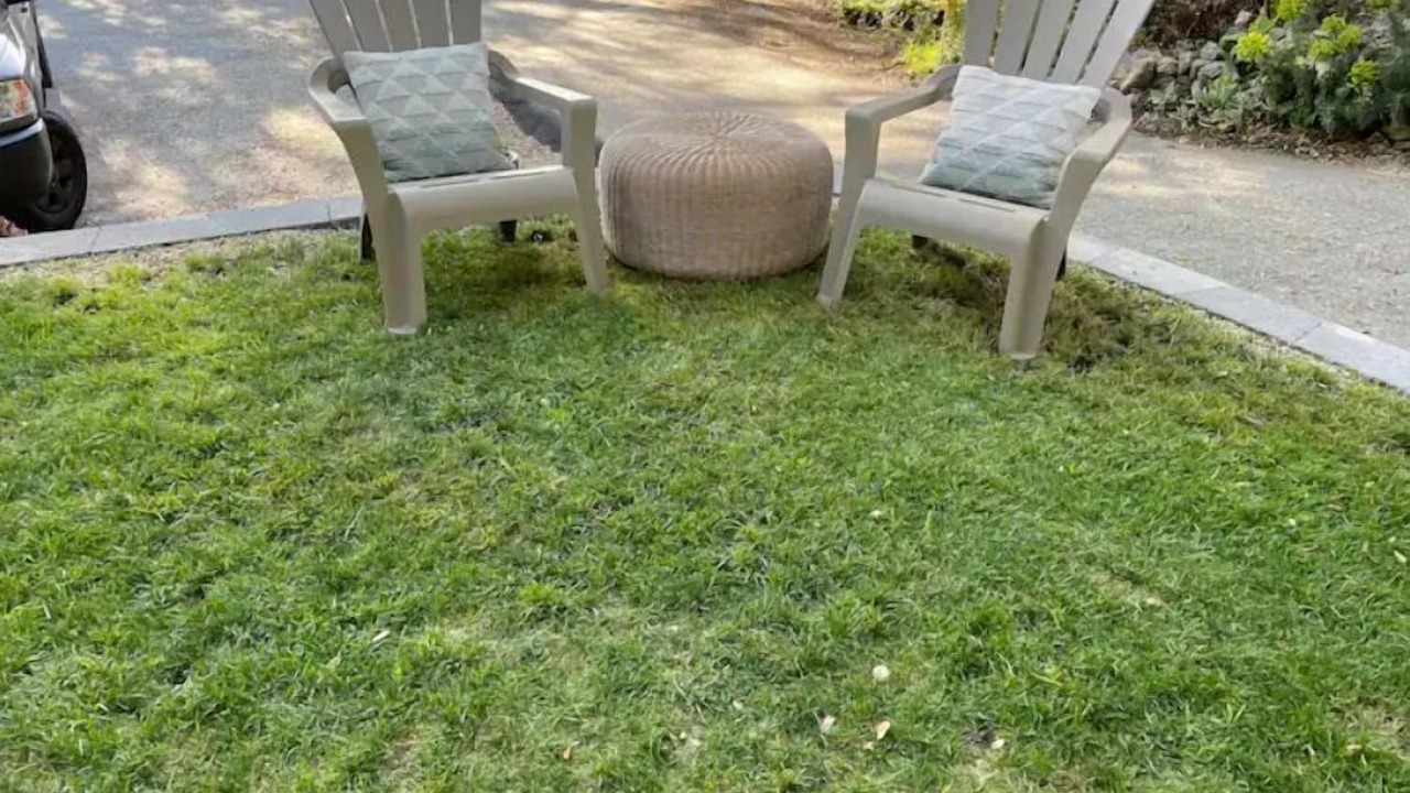 Photo of Outdoor in Lexington Hills