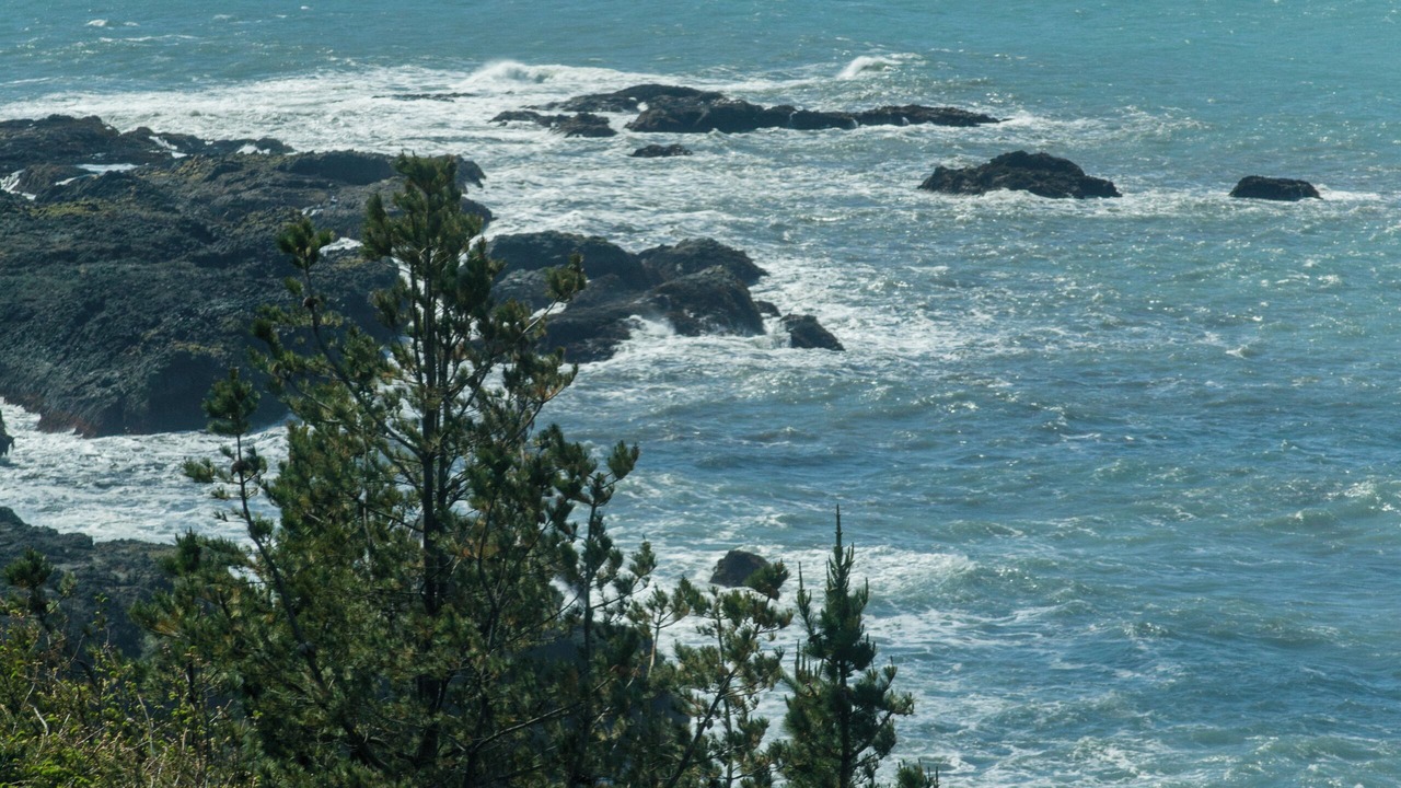 Photo of Others in Shelter Cove