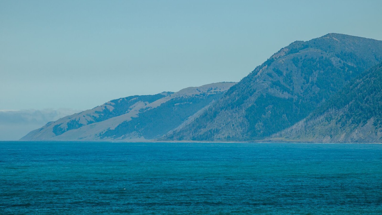 Photo of Others in Shelter Cove