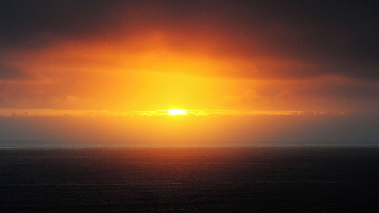 Photo of Others in Shelter Cove