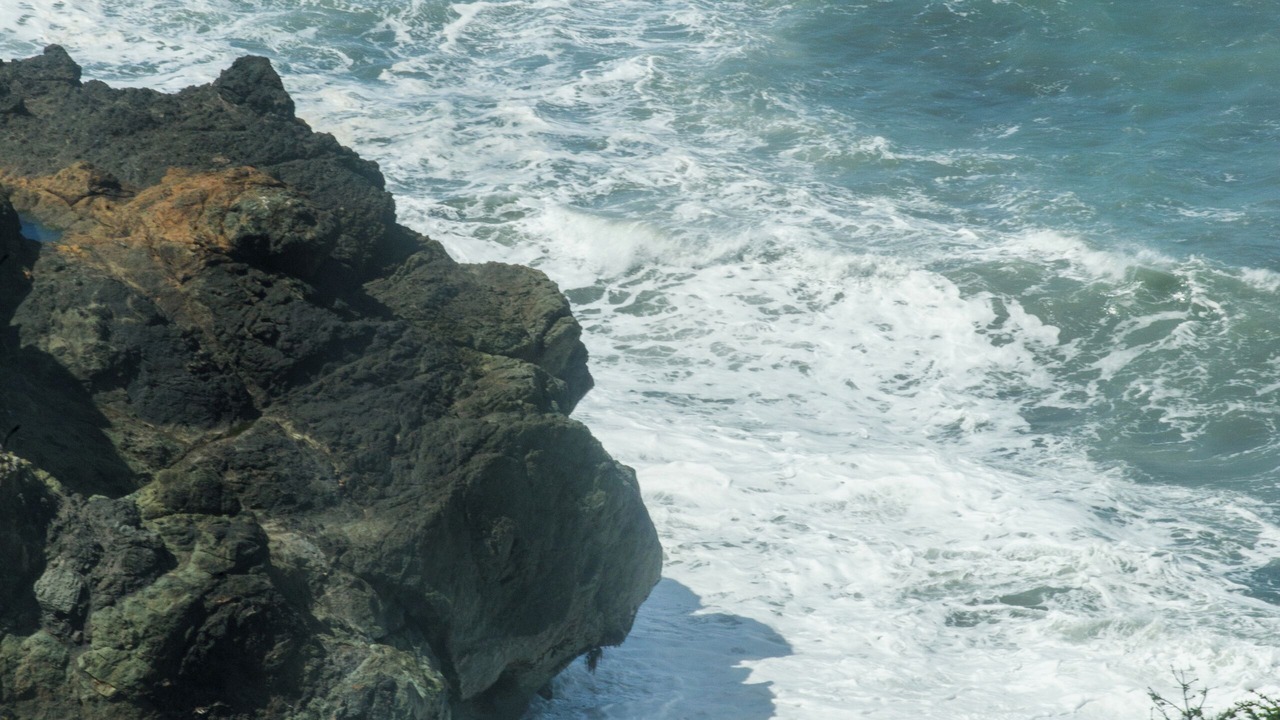Photo of Others in Shelter Cove