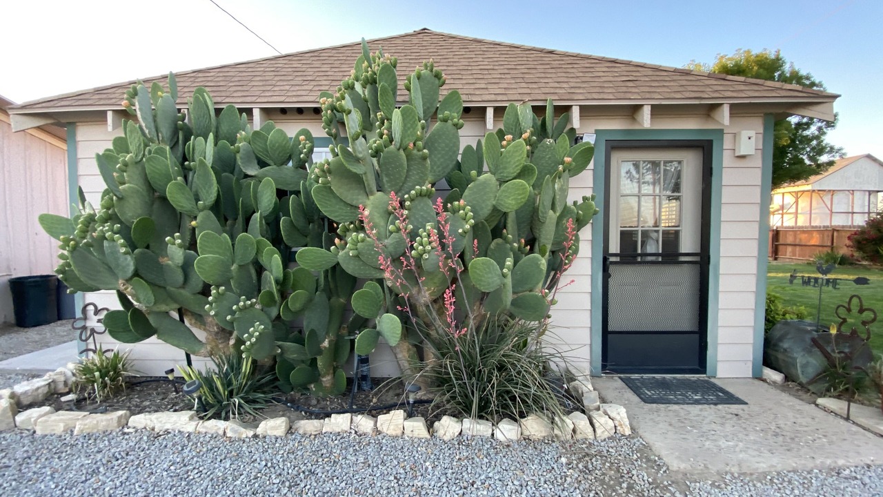 Photo of Outdoor in Santa Margarita