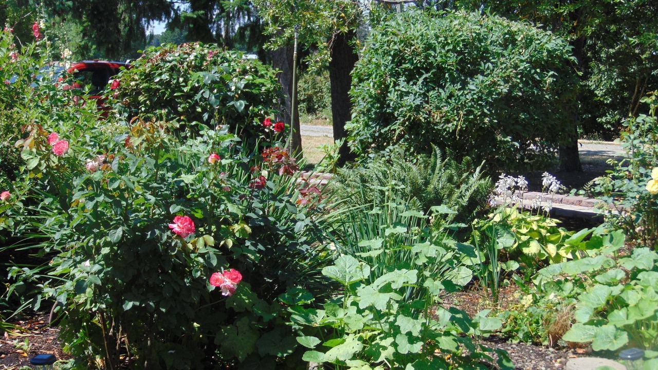 Photo of Outdoor in Canby