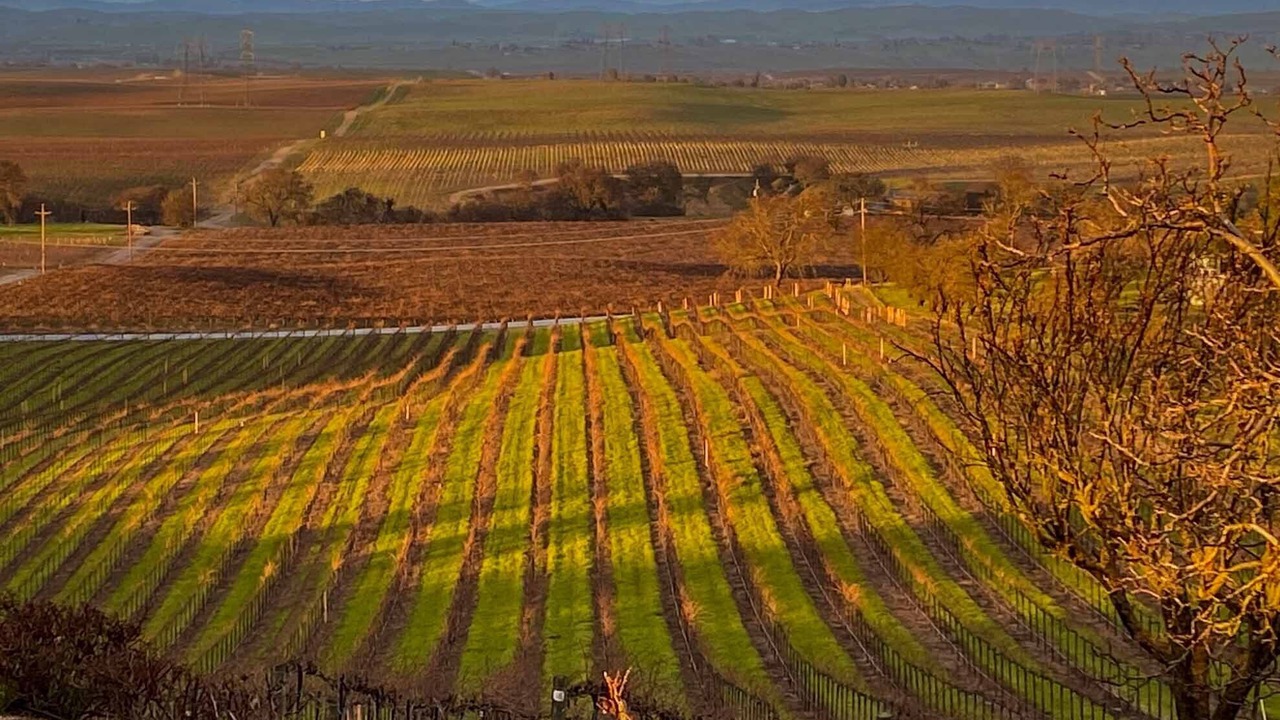 Photo of Others in Paso Robles