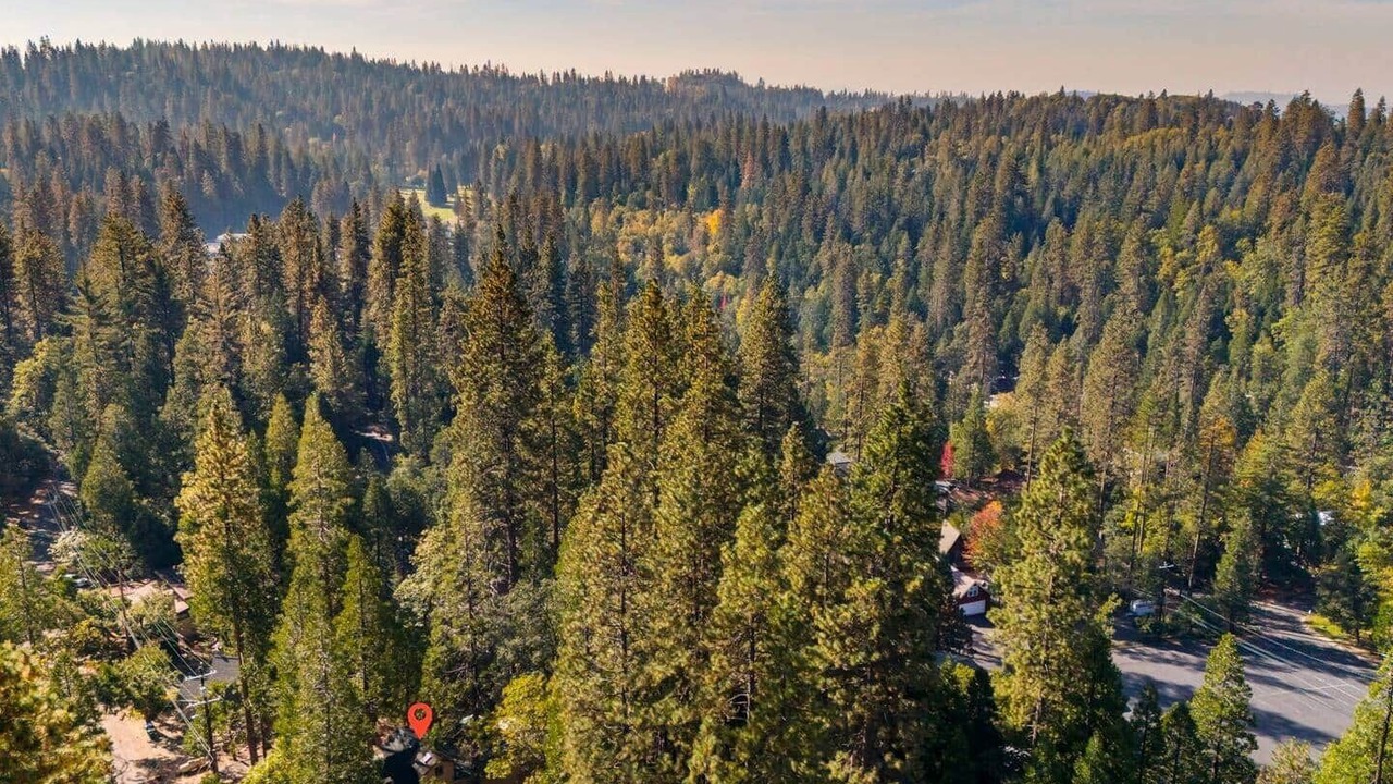 Photo of Others in Twain Harte