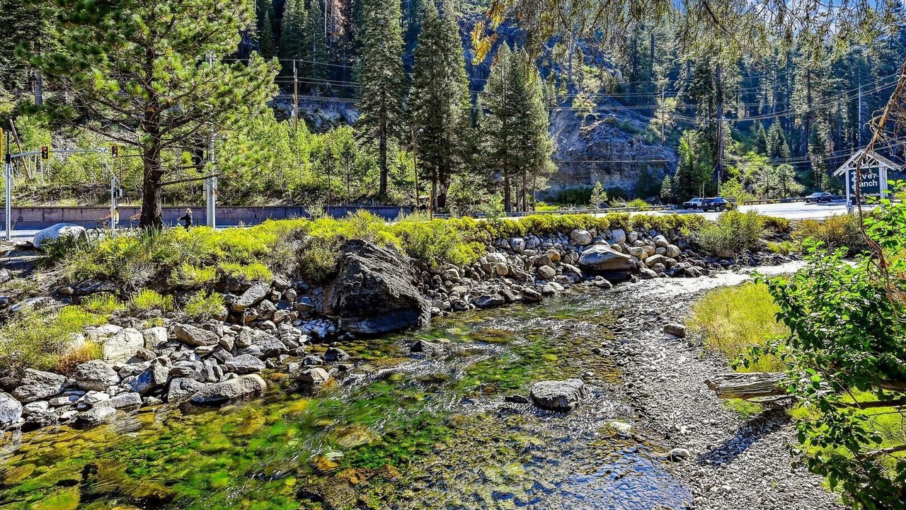 Photo of Others in North Lake Tahoe