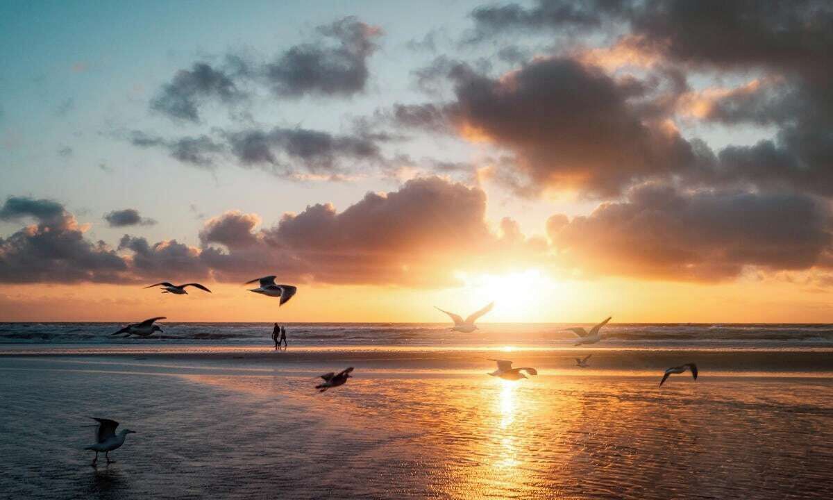 Photo of Others in Grover Beach