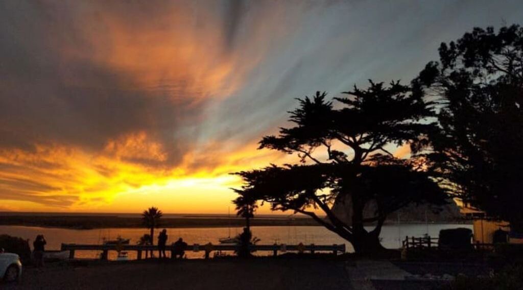 Photo of Others in Morro Bay