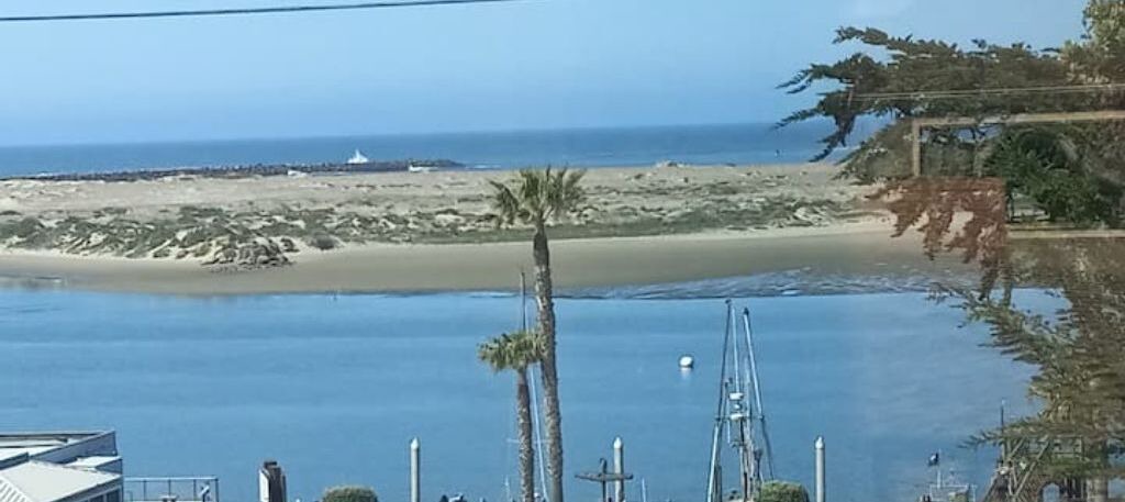 Photo of Others in Morro Bay