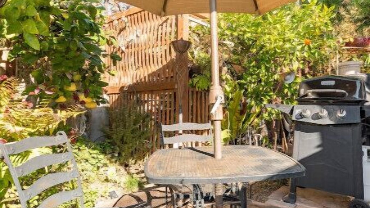 Photo of Outdoor in Belmont Heights