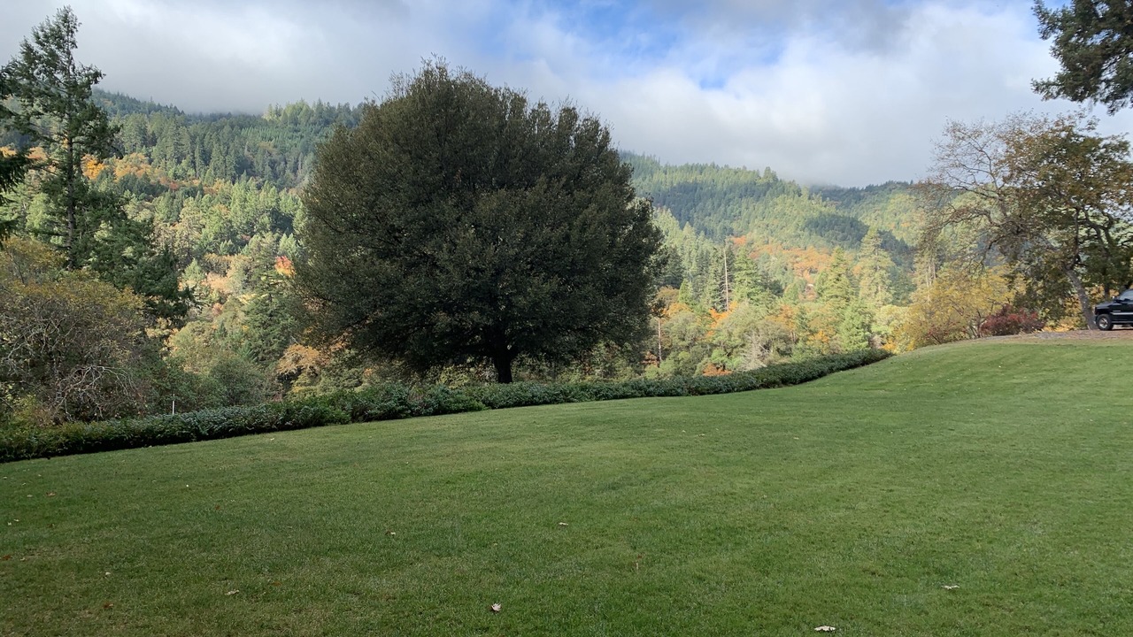 Photo of Outdoor in Salyer
