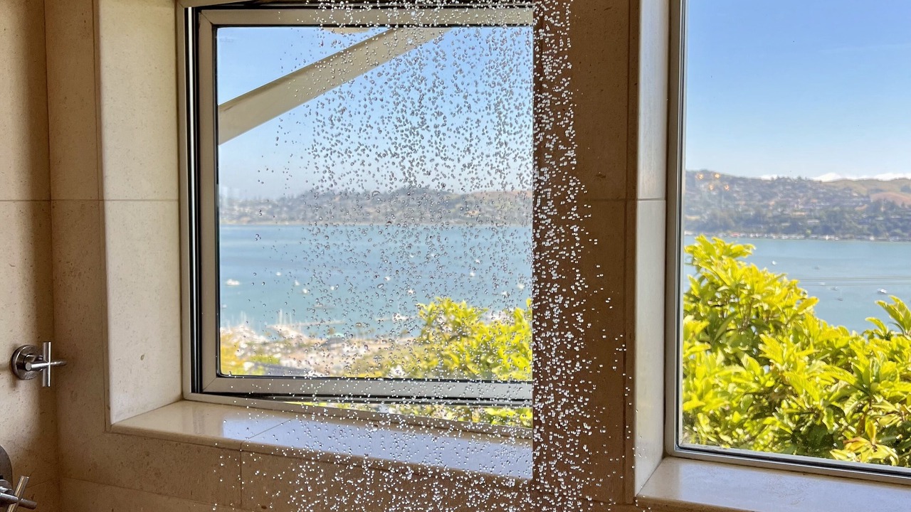 Photo of Others in Sausalito