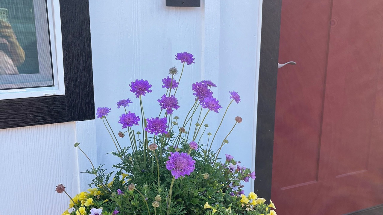 Photo of Outdoor in Paso Robles