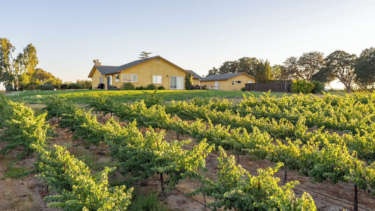 Photo of Others in Paso Robles