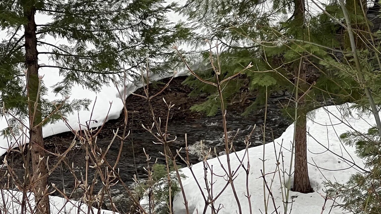 Photo of Others in Mount Shasta