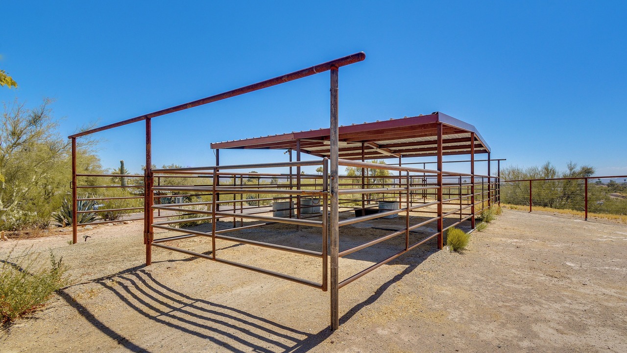 Photo of Others in Wickenburg