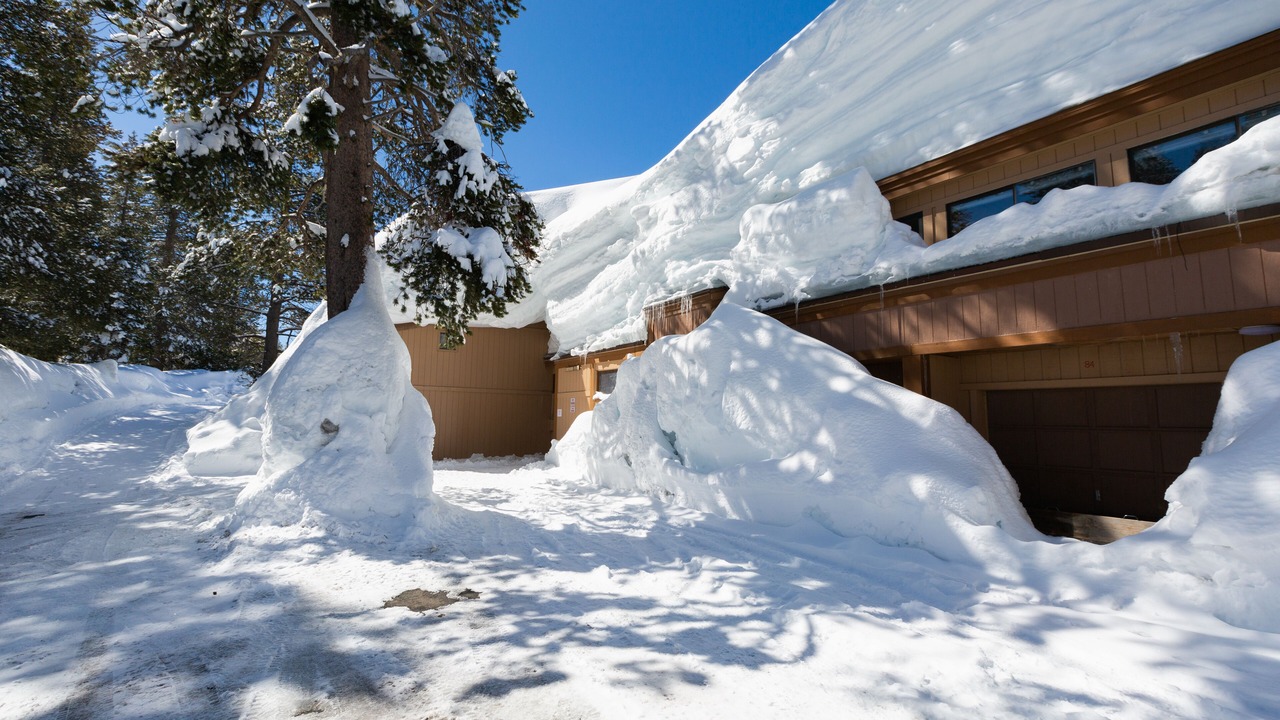 Photo of Outdoor in Bear Valley