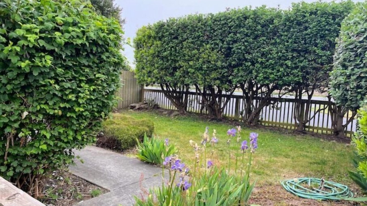 Photo of Outdoor in McKinleyville