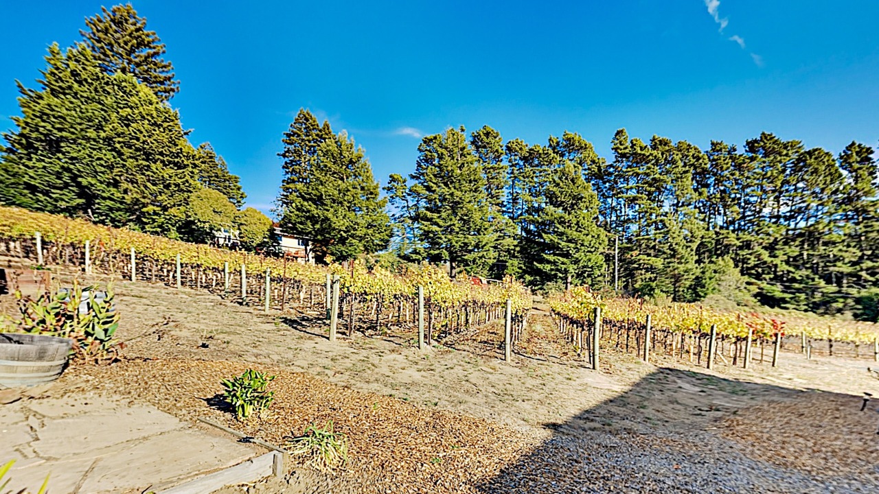 Photo of Outdoor in Freestone