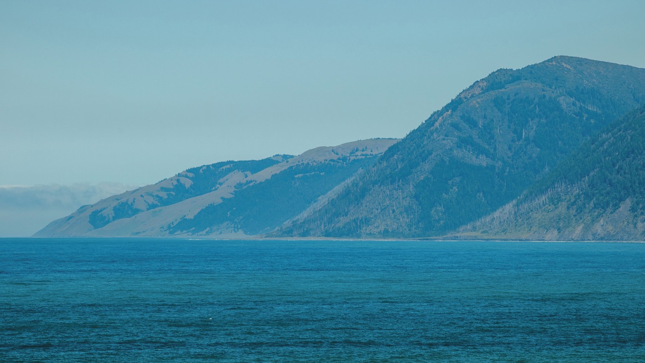 Photo of Others in Shelter Cove