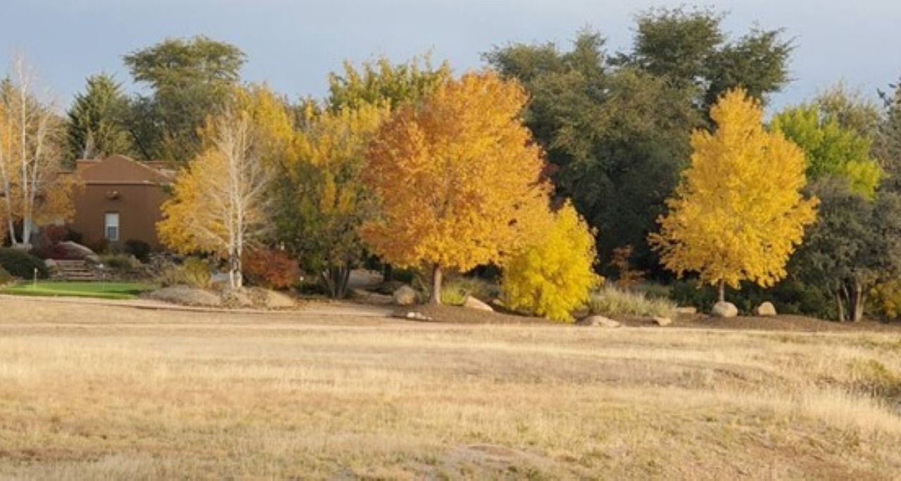 Photo of Outdoor in Williamson