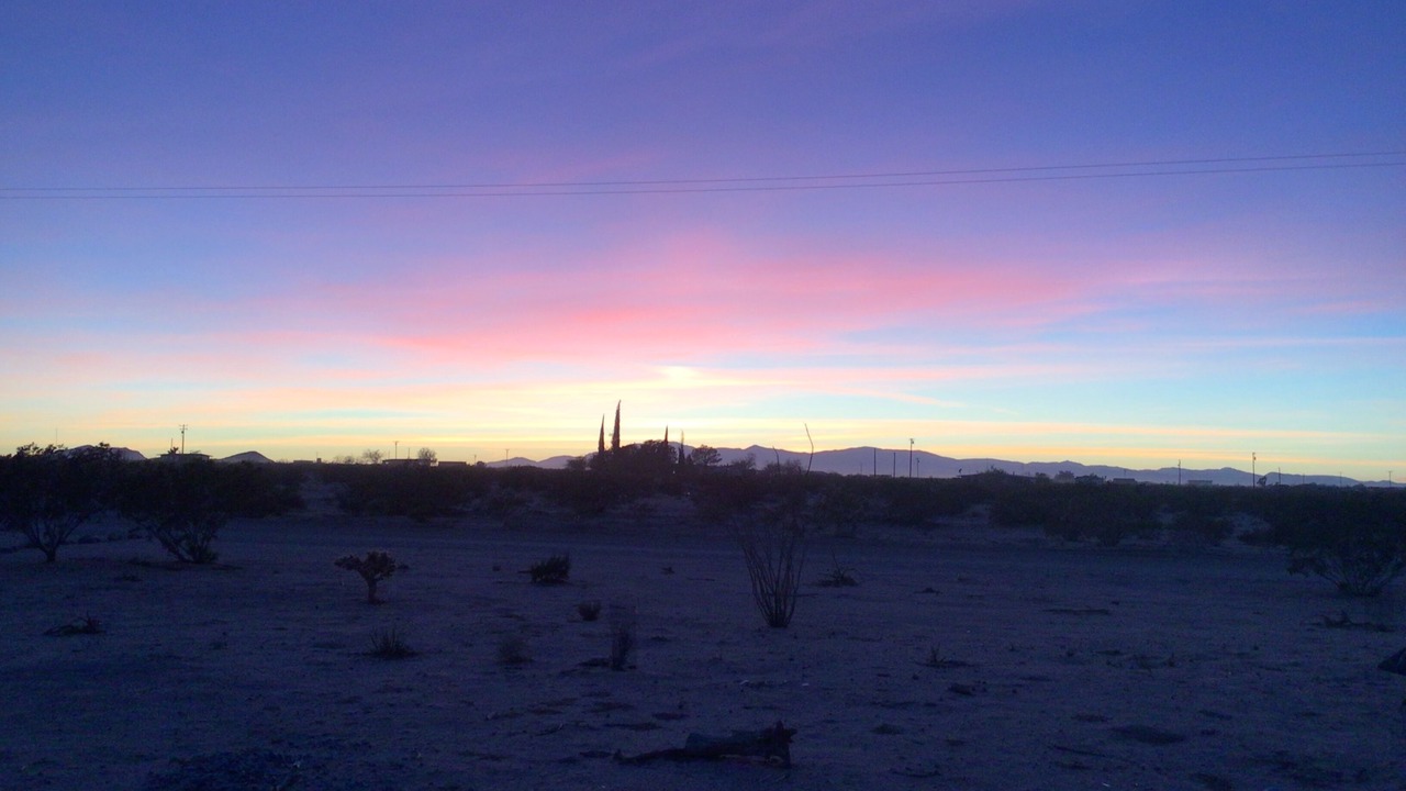Photo of Others in Joshua Tree