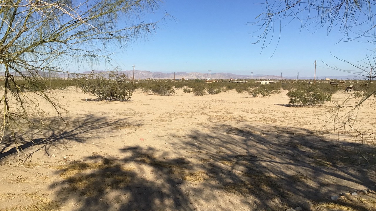 Photo of Others in Joshua Tree