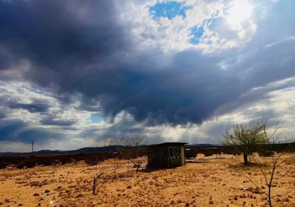 Photo of Others in Joshua Tree