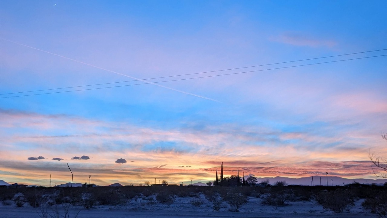 Photo of Others in Joshua Tree