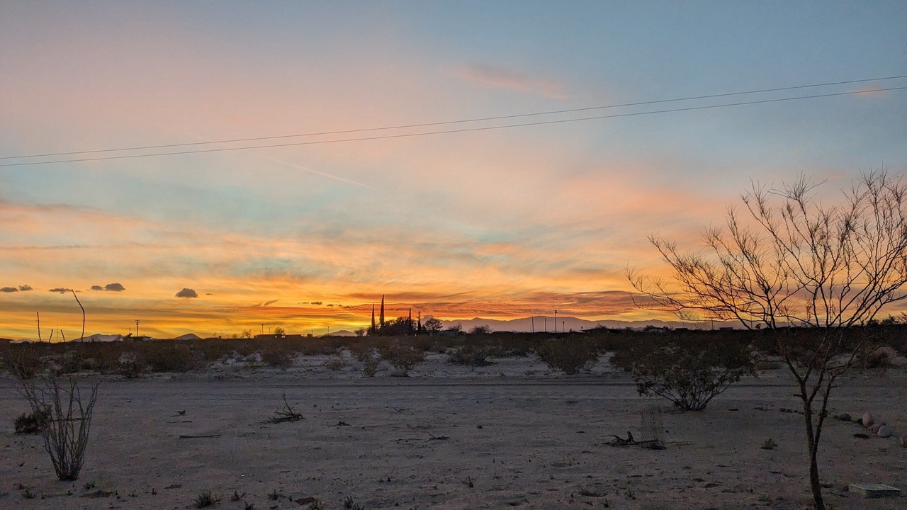 Photo of Others in Joshua Tree