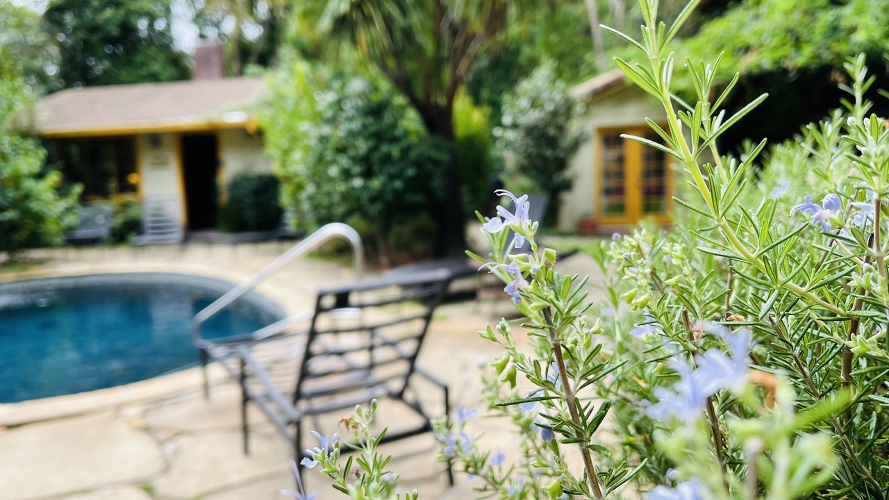 Photo of Outdoor in Guerneville