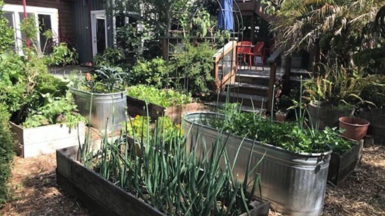 Photo of Outdoor in South Berkeley