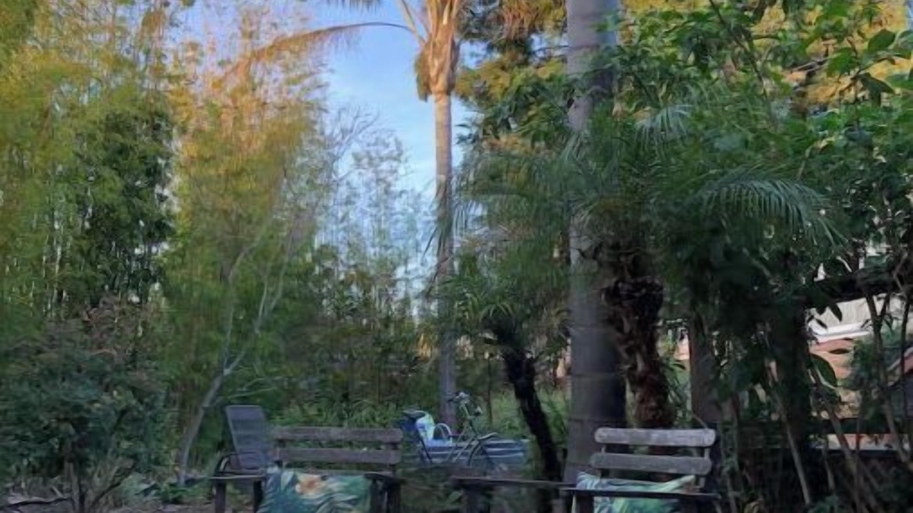 Photo of Patio Balcony in South Berkeley
