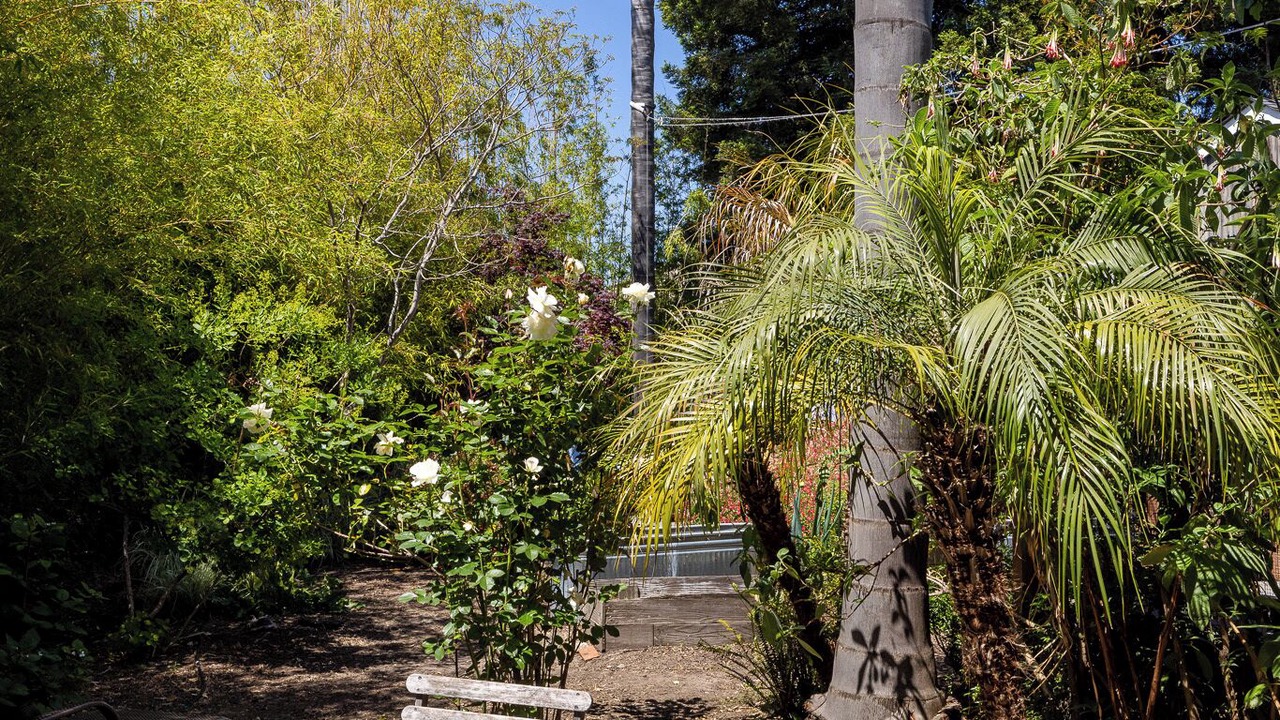 Photo of Patio Balcony in South Berkeley