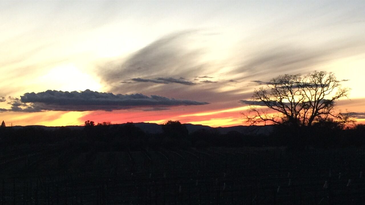Photo of Others in Paso Robles
